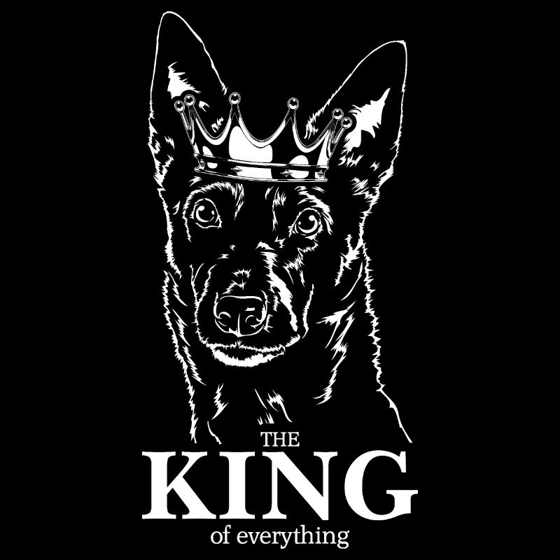 KELPIE AUSTRALIEN Roi de tout Wilsigns
