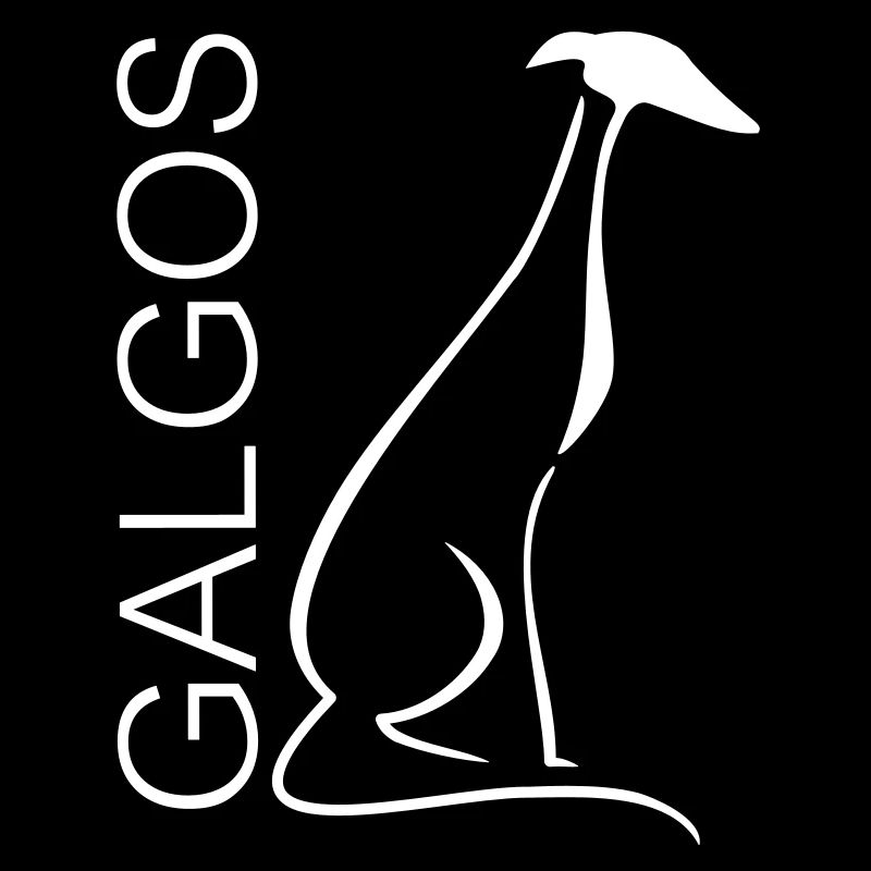 Galgo assis