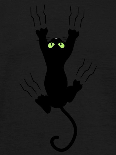 BAD BLACK CAT