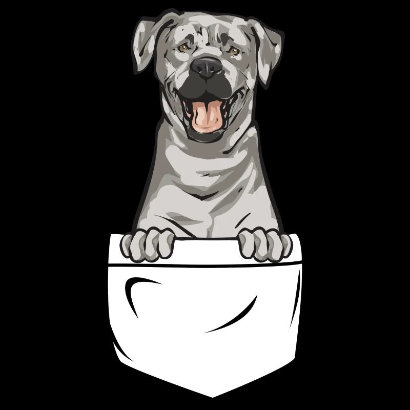 Silver Labrador Retriever Silver Lab