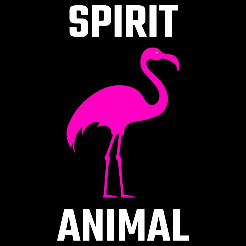 Flamingo, rosa Vogel, tropischer Vogel