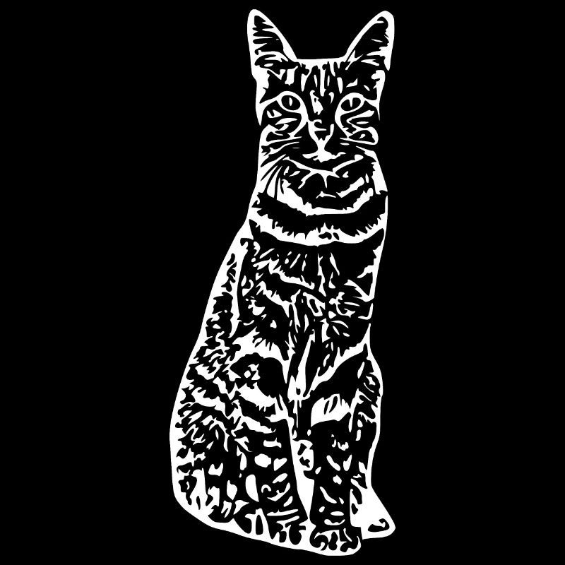 Chat chat chaton