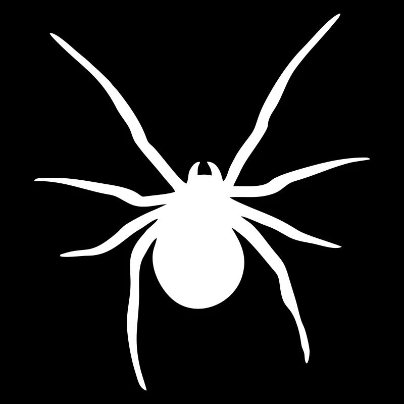 Araignée - Spider