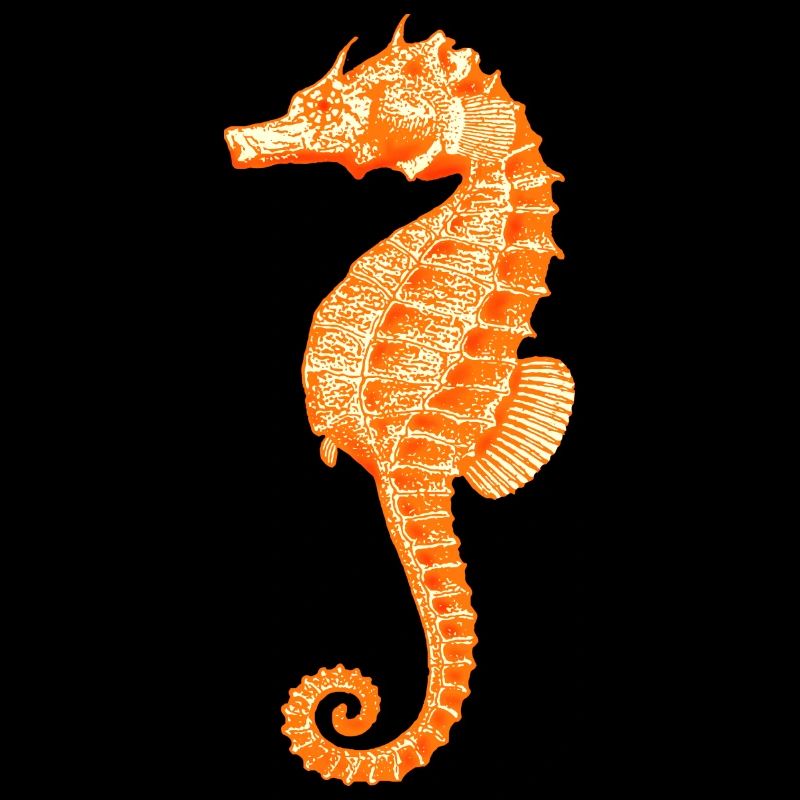 Dodu