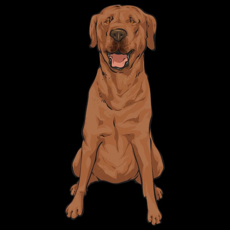 Foxred Labrador Fox Red Labrador Retriever