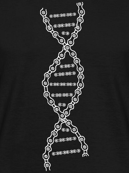 Cycling DNA