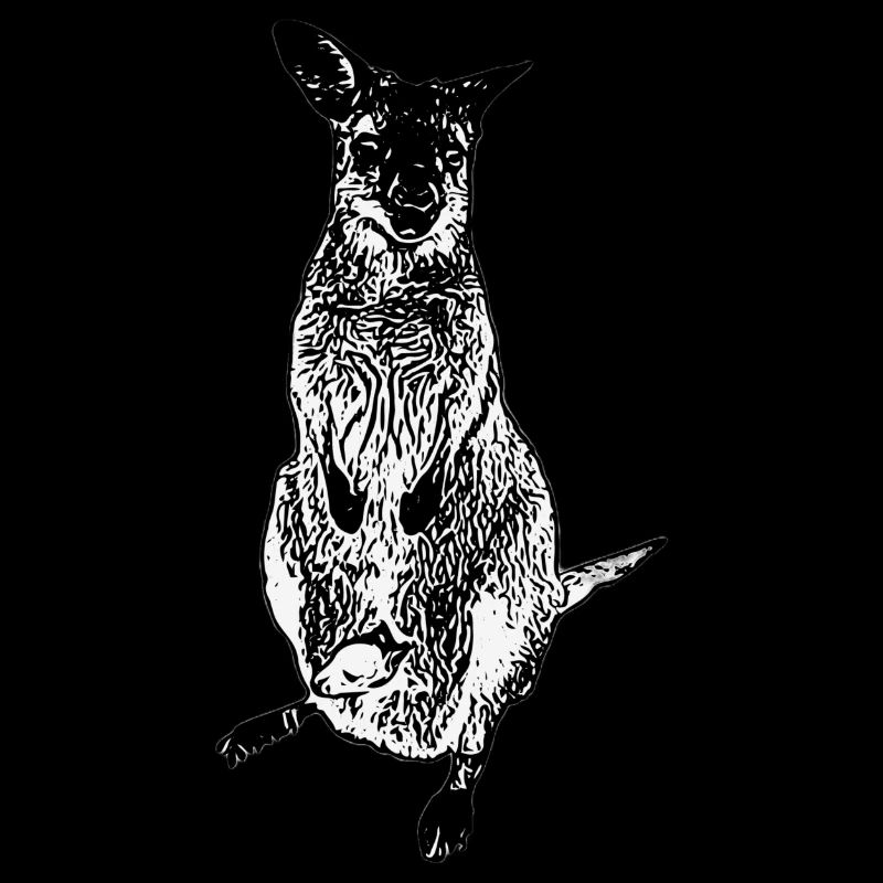 Känguru