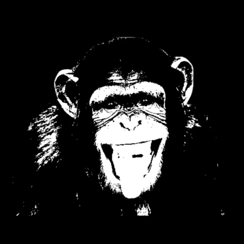 Chimpanzés