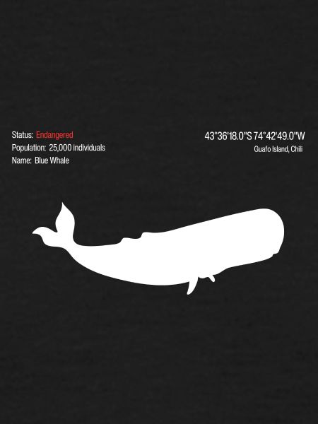 Whale