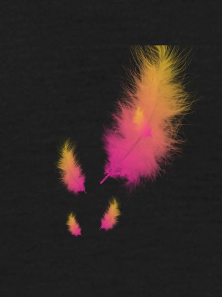 feather