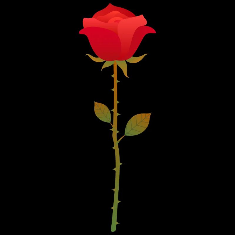 Rose Fleur Roses Saint-Valentin