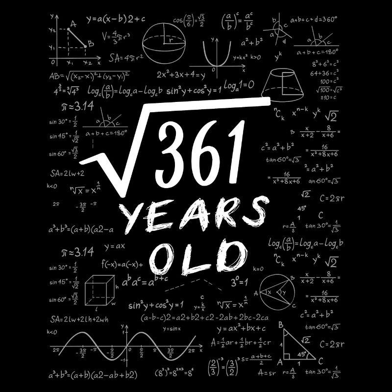 19th Birthday 19 years old Square root of 361 math