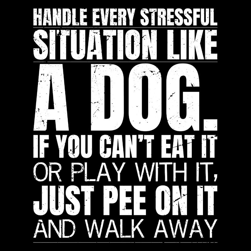 handle every stressful situation like a dog 