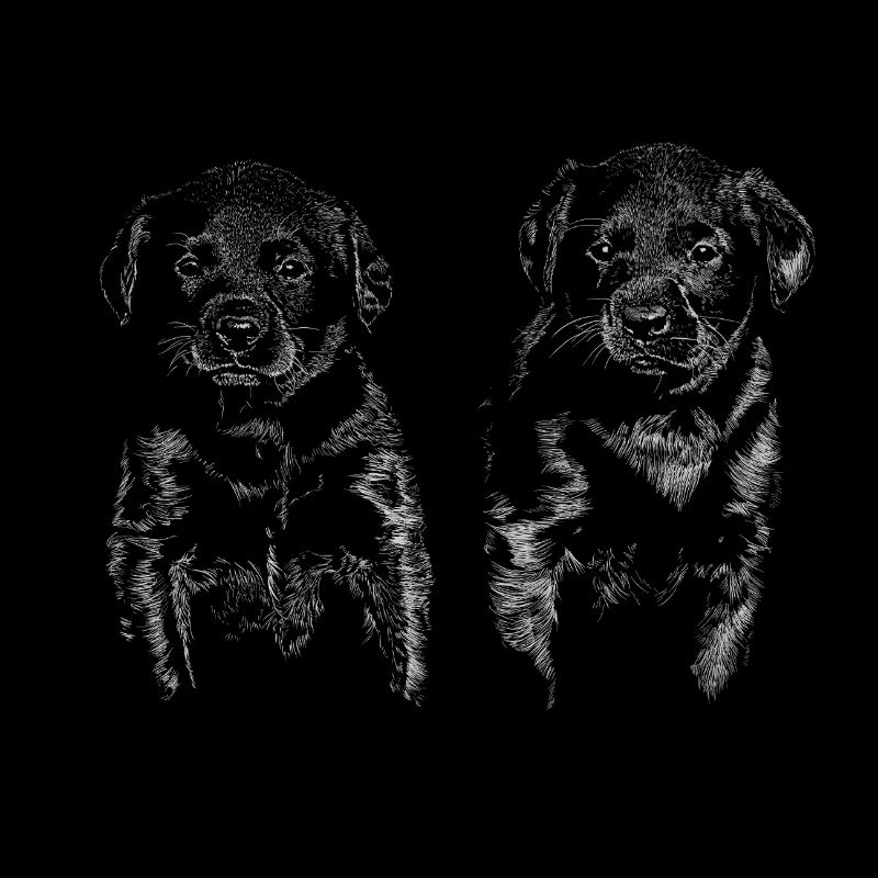 Chiots