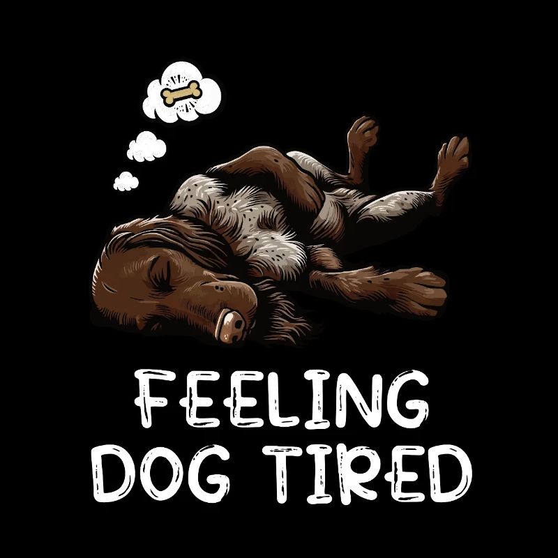 Feeling Dog Tired Deutsch Drahthaar drahthaar hund