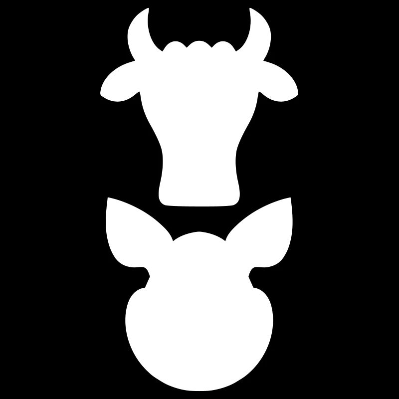 Schädel Rind Schwein