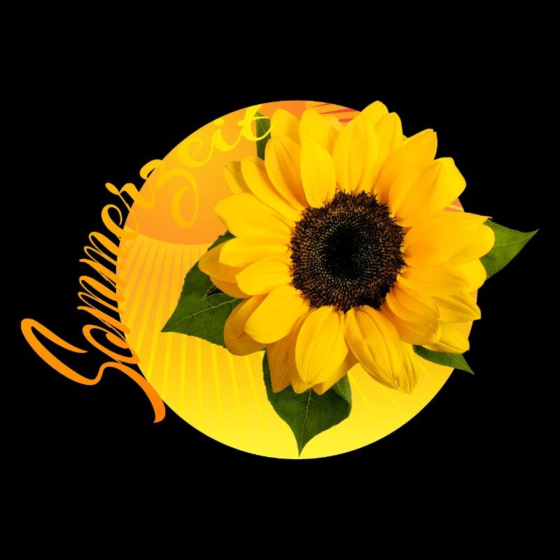 Sonne Blume Sommerzeit