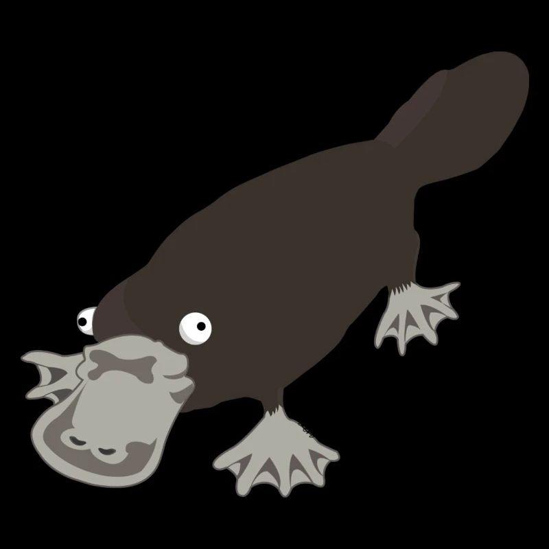 ornithorynque