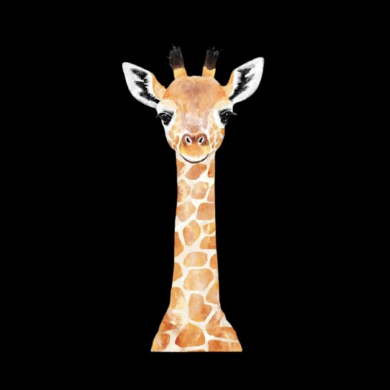 Baby giraffe