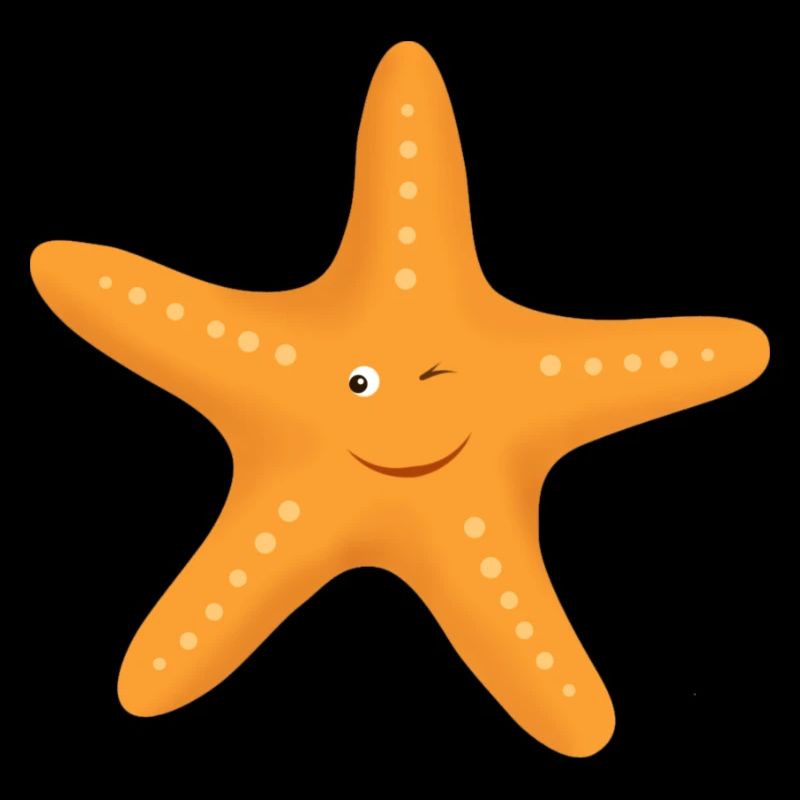 Seestern
