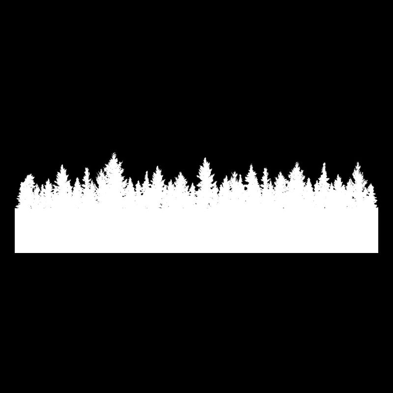 Forêt silhouette forêt blanche