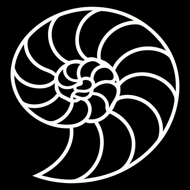 Weiße Nautilus-Spirale