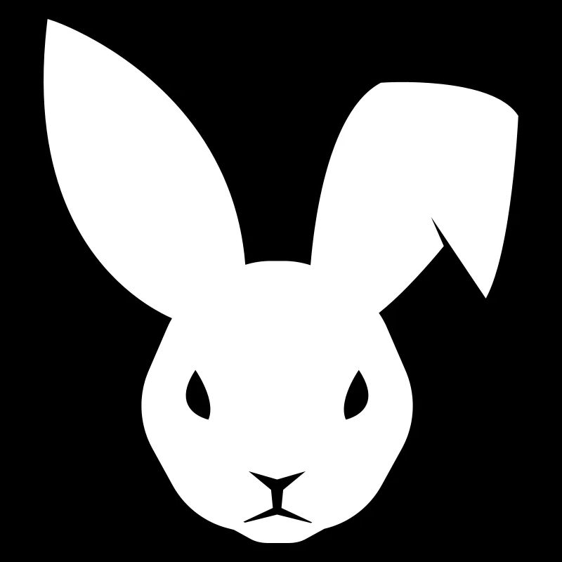 Hase