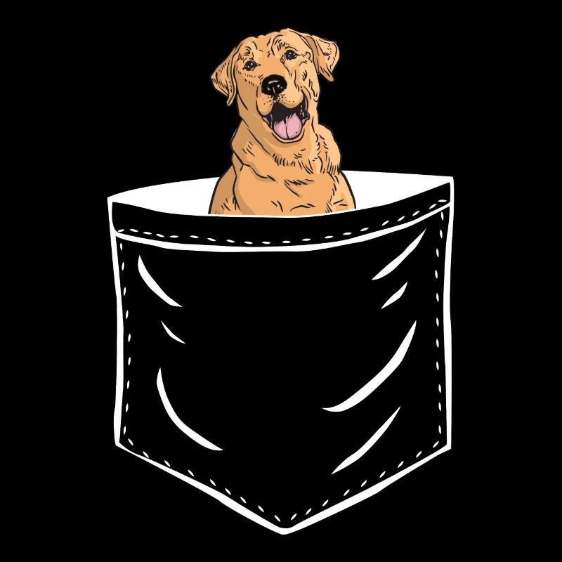 Chien dans la poche de poitrine pour les propriétaires de chiens avec Labrador