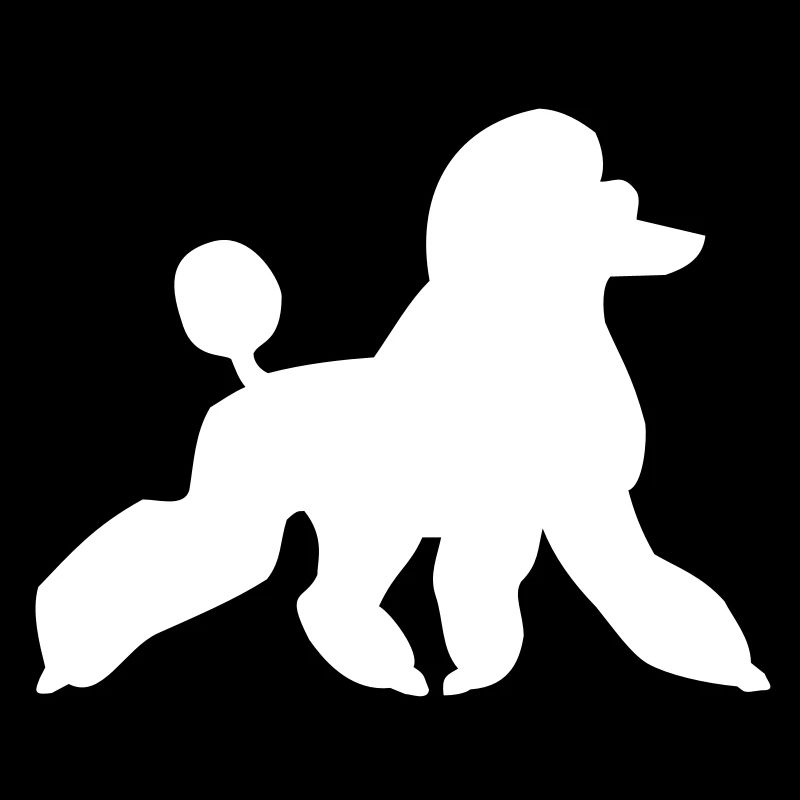 Caniche