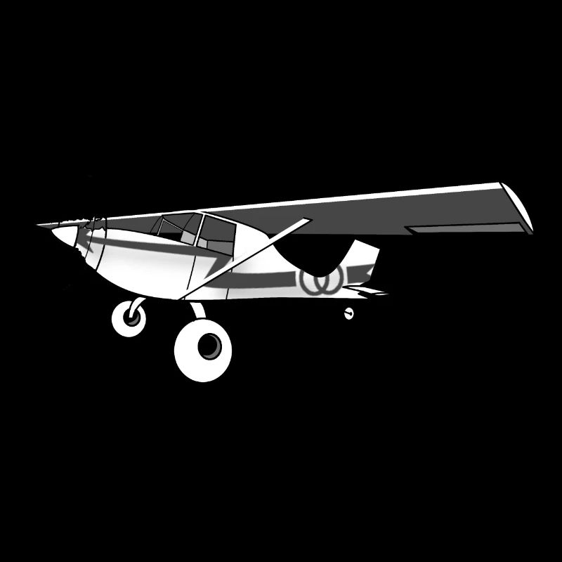 Bushplane