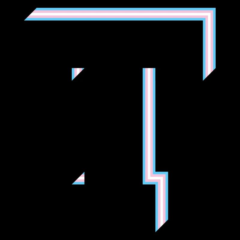 Letter T - Transgender Flag