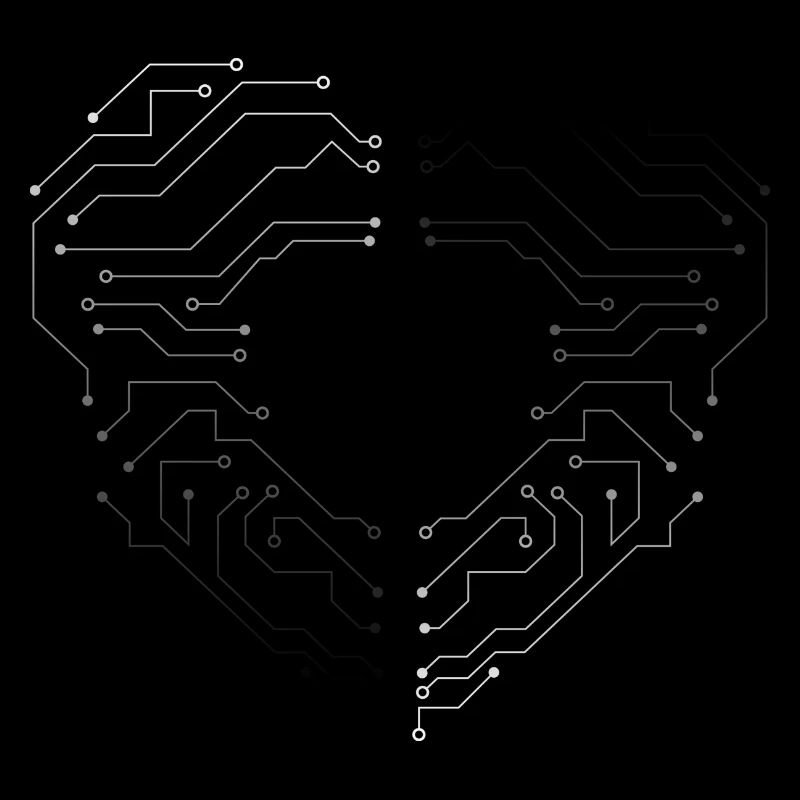 Electronic circuit boards heart