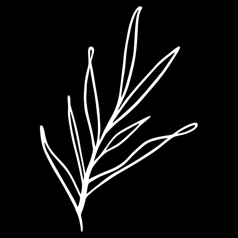 Zweig Design
