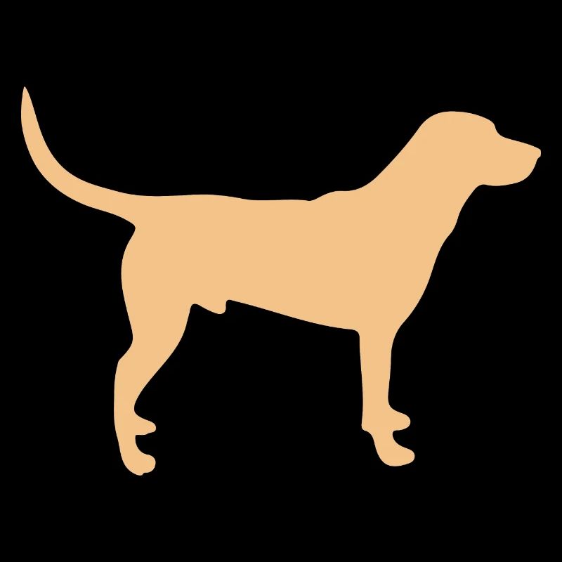 Labrador Hund – orange sand