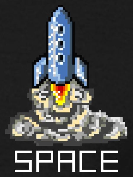Space Flight