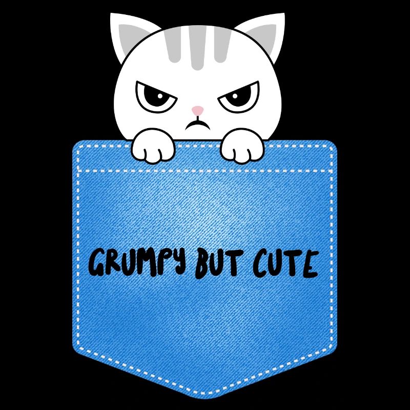 Cat grumpy but cute
