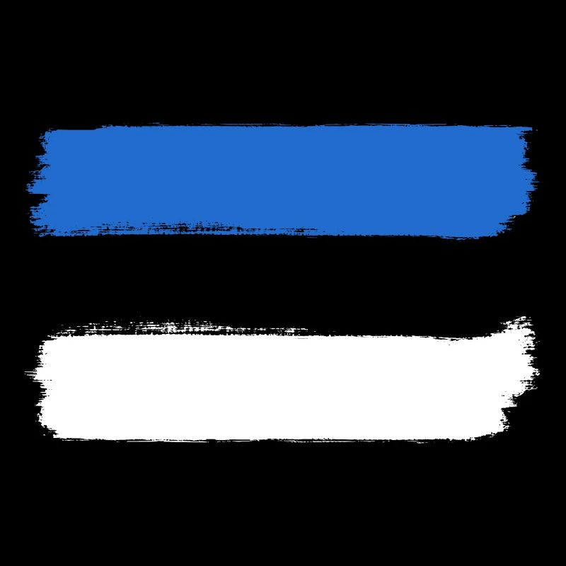 Look du drapeau estonien utilisé