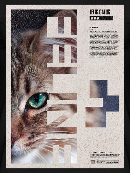 Katzenporträt-Geometrische Collage