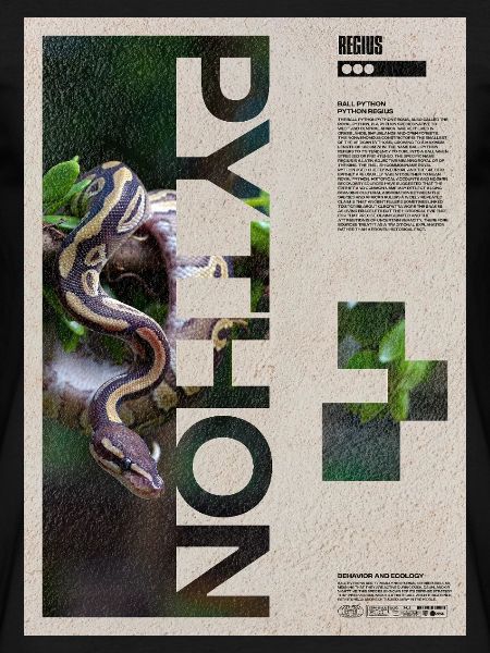 Kunst des Kugelpython-Reptilienhüters