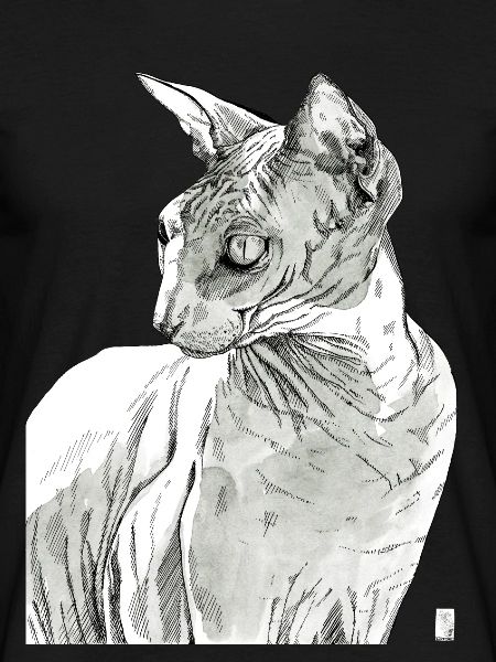 Chat Sphynx