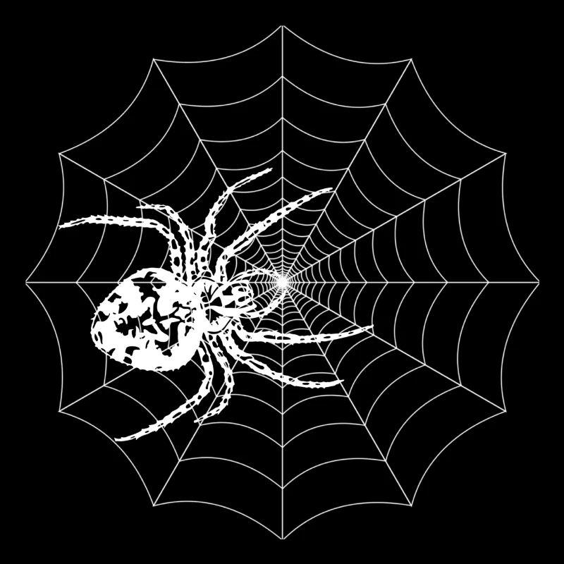 Spinne
