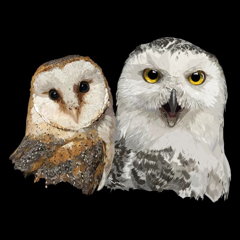 Schneeeule und Schleiereule