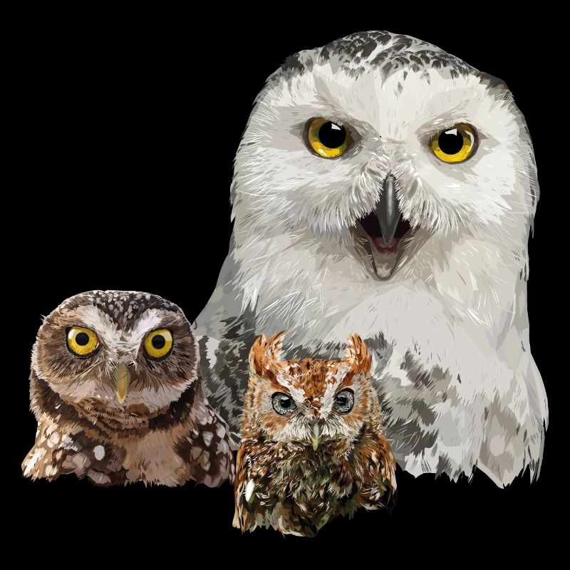 Eule, Eule und Eule