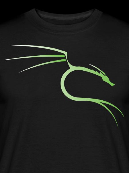 Kali Linux Dragon