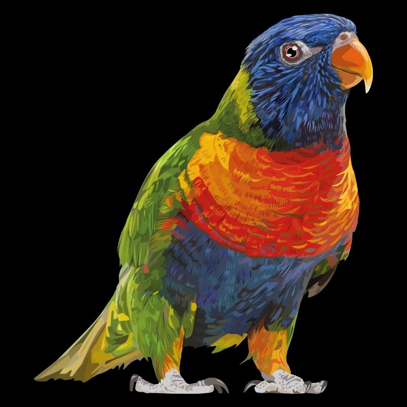 Regenbogen lori
