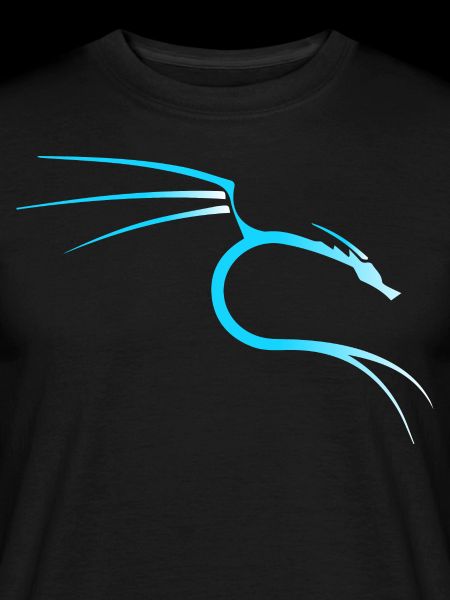 Kali Linux Dragon