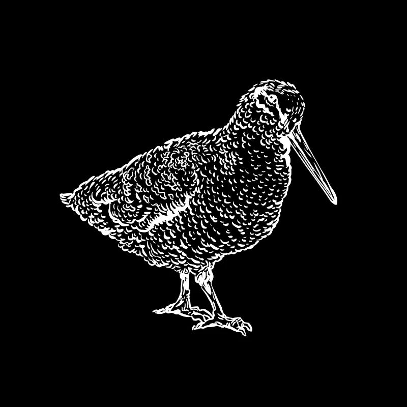 Oiseau oiseau oiseau mouches