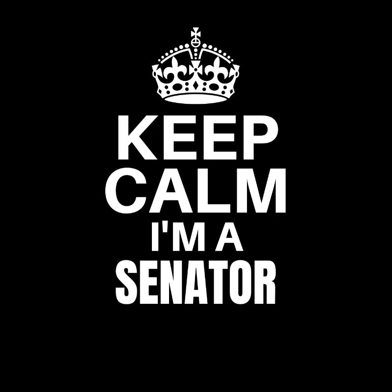 Keep Calm I’m A Senator, Funny Job Design