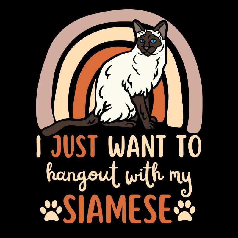 Chat Siam mignon