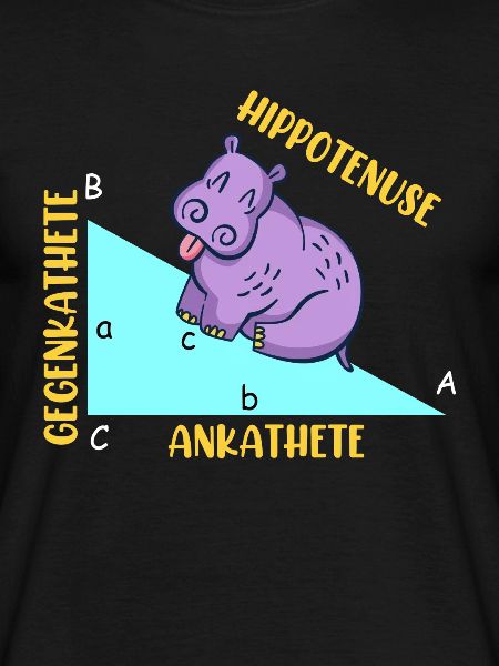 Hippotenuse Math